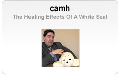 camh - The Healing Effects Of A White Seal